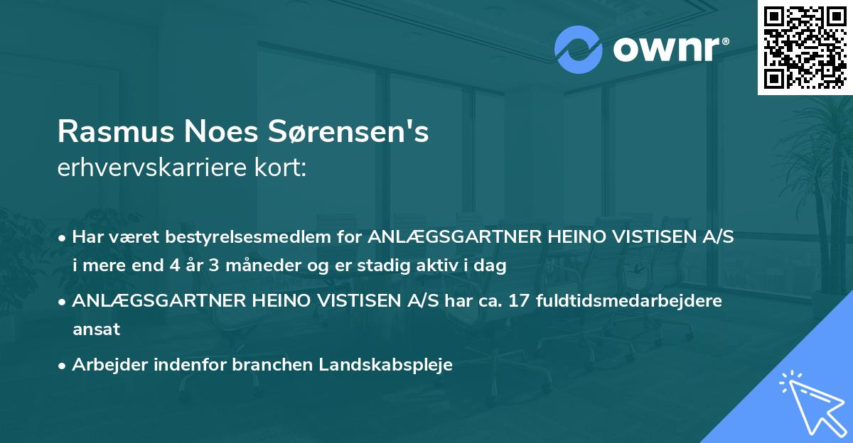 Rasmus Noes Sørensen's erhvervskarriere kort