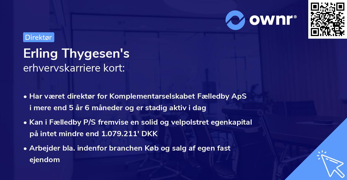 Erling Thygesen's erhvervskarriere kort