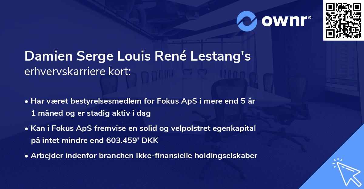 Damien Serge Louis René Lestang's erhvervskarriere kort