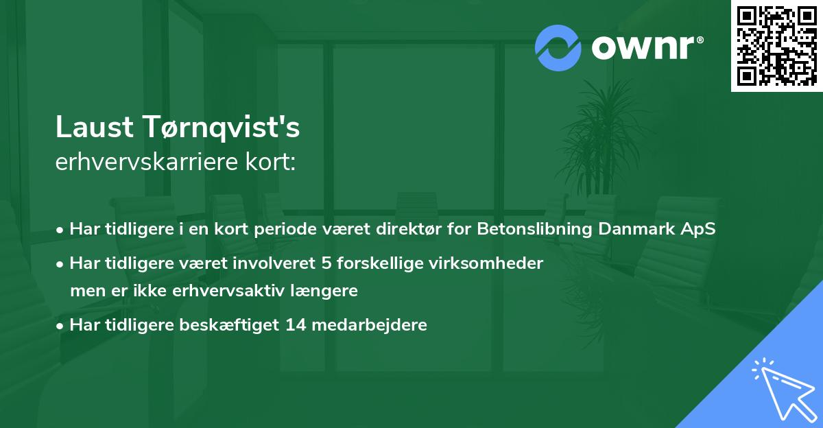 Laust Tørnqvist's erhvervskarriere kort