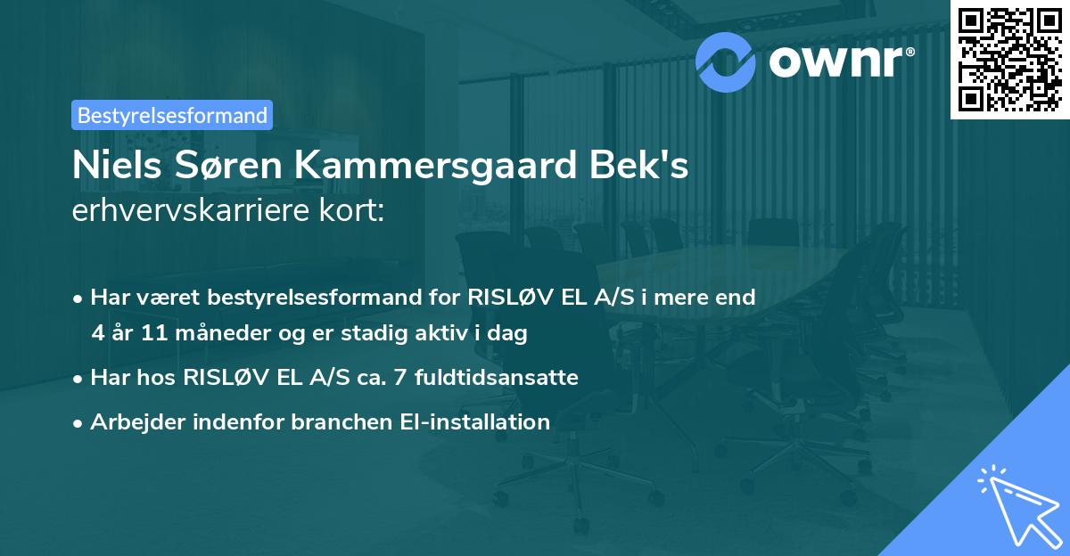 Niels Søren Kammersgaard Bek's erhvervskarriere kort