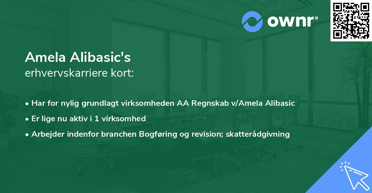 Amela Alibasic's erhvervskarriere kort