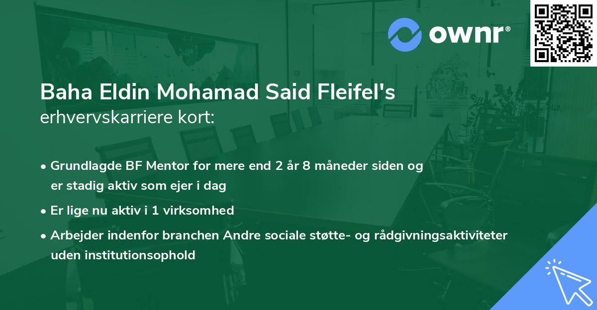 Baha Eldin Mohamad Said Fleifel's erhvervskarriere kort
