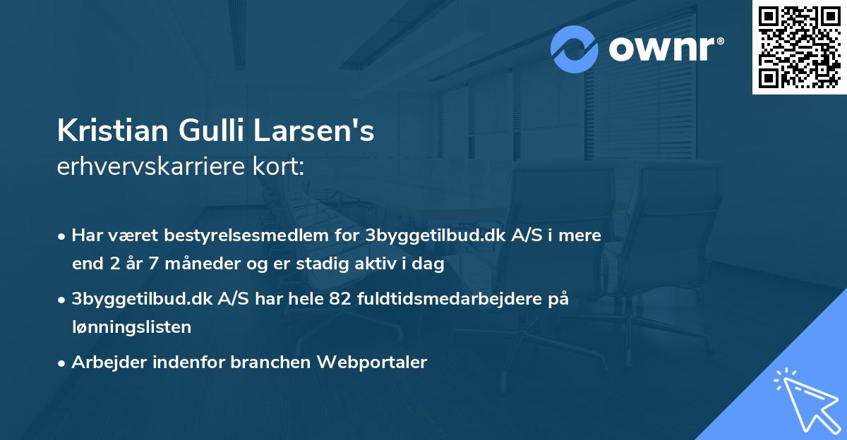 Kristian Gulli Larsen's erhvervskarriere kort