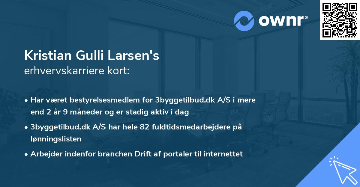 Kristian Gulli Larsen's erhvervskarriere kort