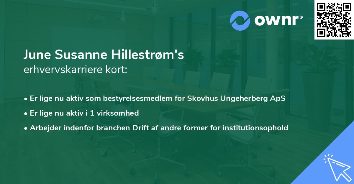 June Susanne Hillestrøm's erhvervskarriere kort