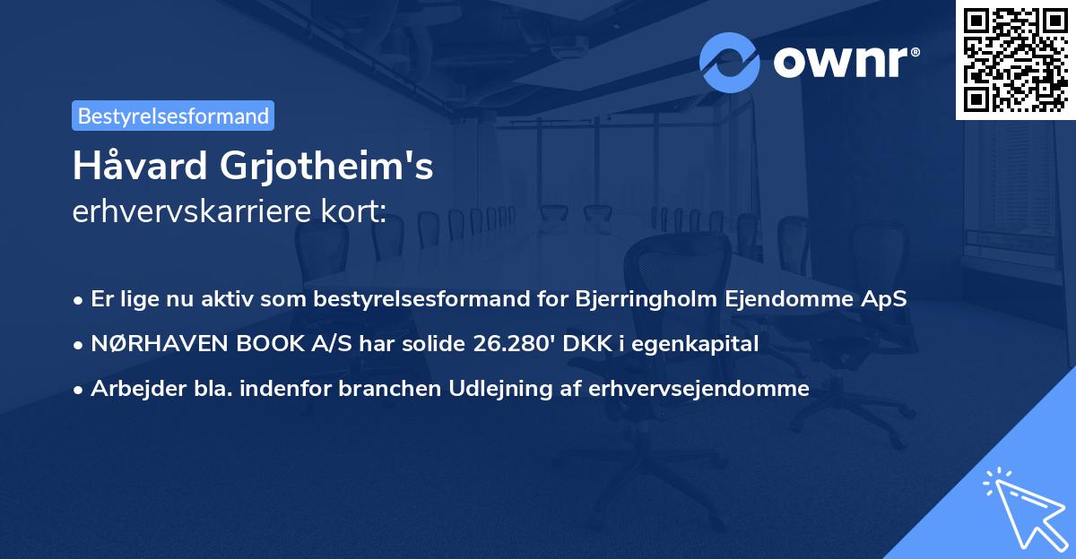 Håvard Grjotheim's erhvervskarriere kort
