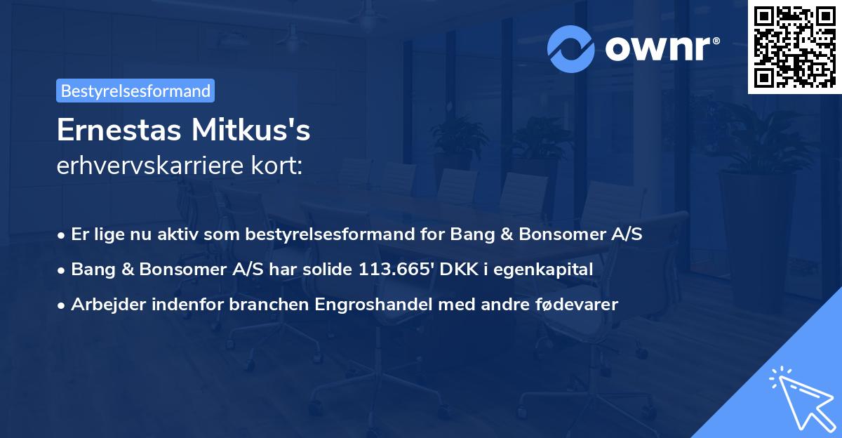 Ernestas Mitkus's erhvervskarriere kort