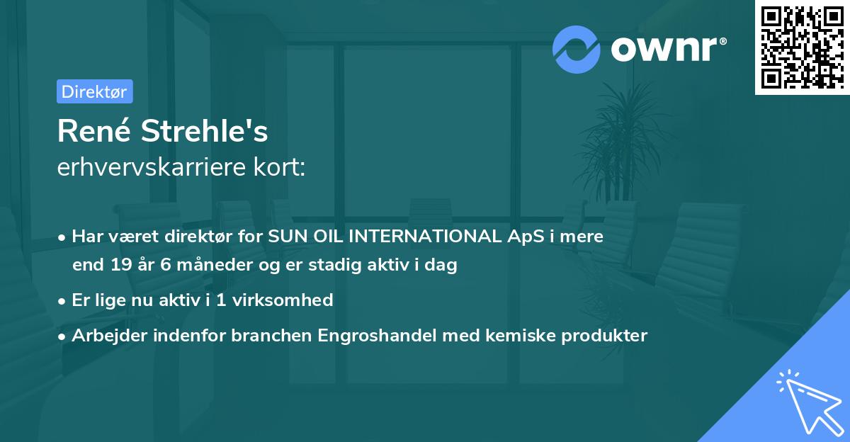 René Strehle's erhvervskarriere kort