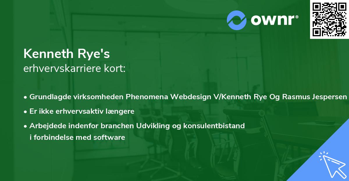 Kenneth Rye's erhvervskarriere kort