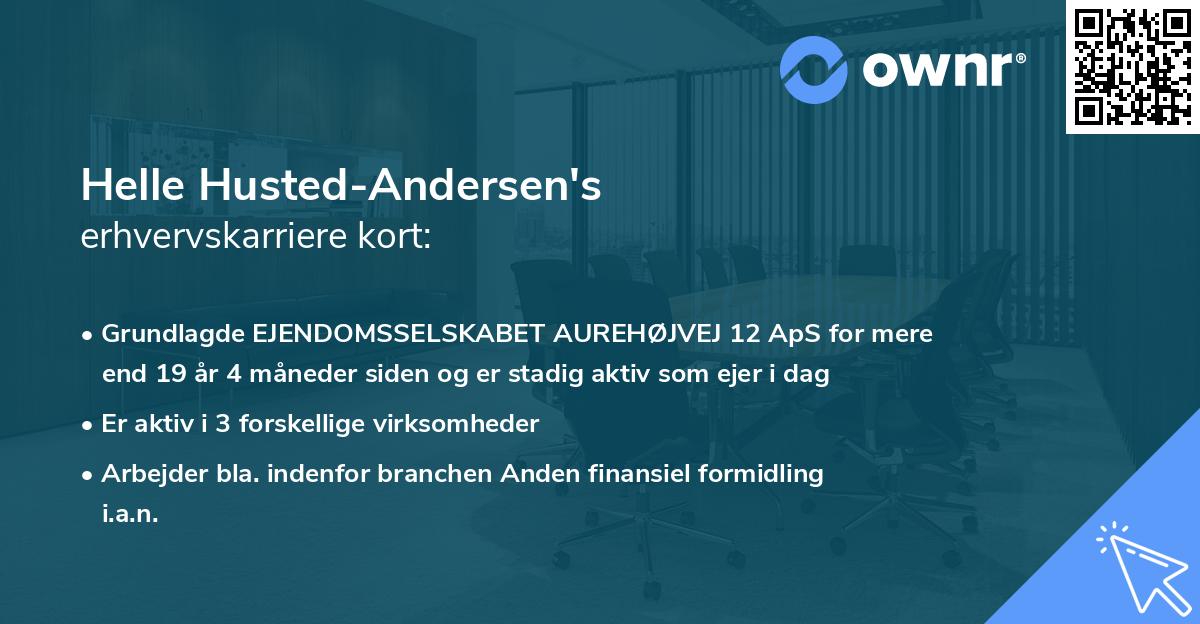 Helle Husted-Andersen's erhvervskarriere kort