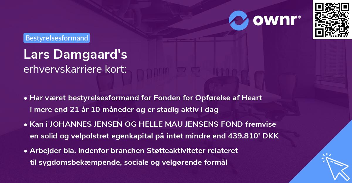 Lars Damgaard's erhvervskarriere kort