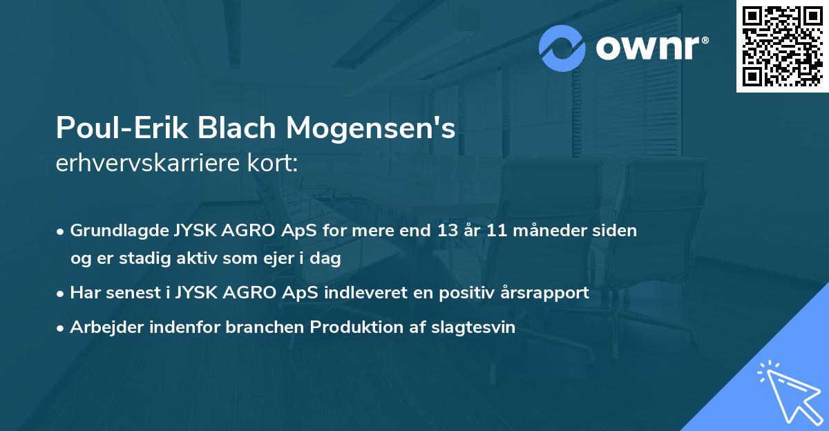 Poul-Erik Blach Mogensen's erhvervskarriere kort