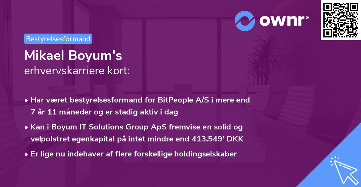 Mikael Boyum's erhvervskarriere kort