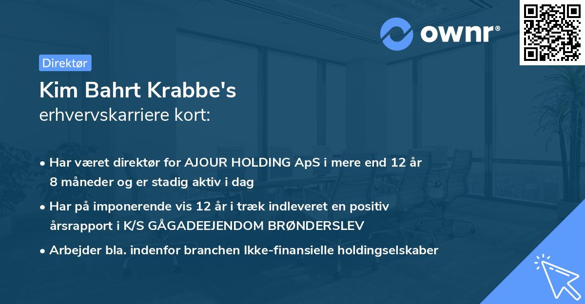 Kim Bahrt Krabbe's erhvervskarriere kort