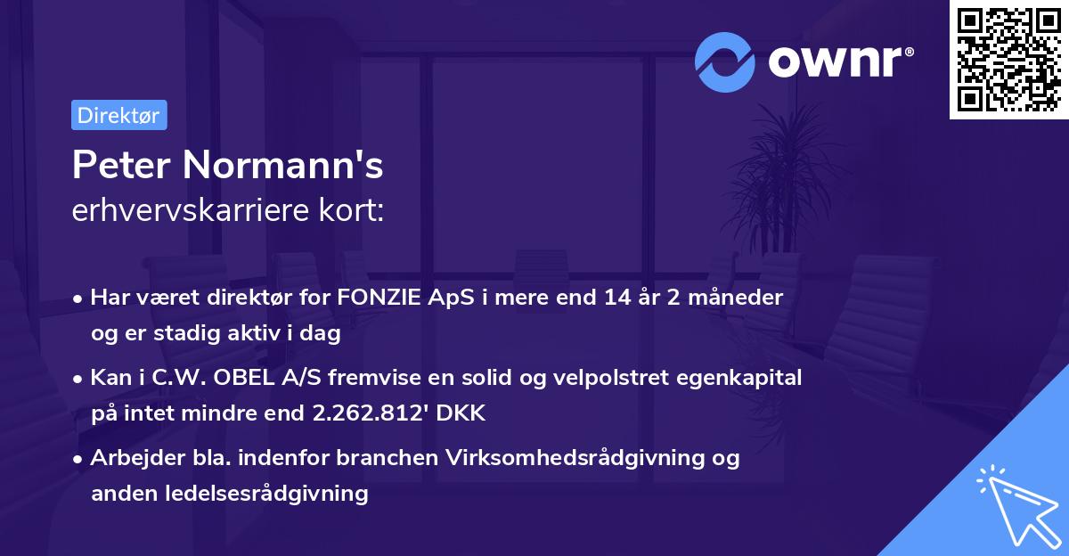 Peter Normann's erhvervskarriere kort