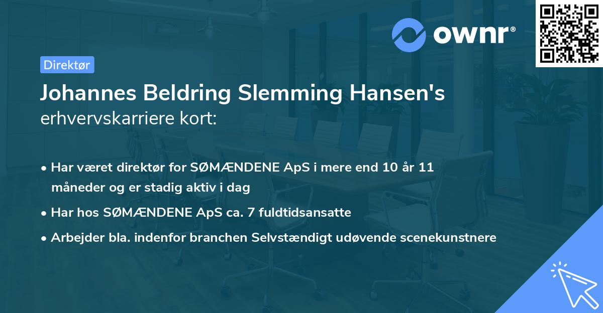 Johannes Beldring Slemming Hansen's erhvervskarriere kort