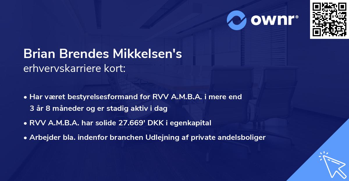 Brian Brendes Mikkelsen's erhvervskarriere kort