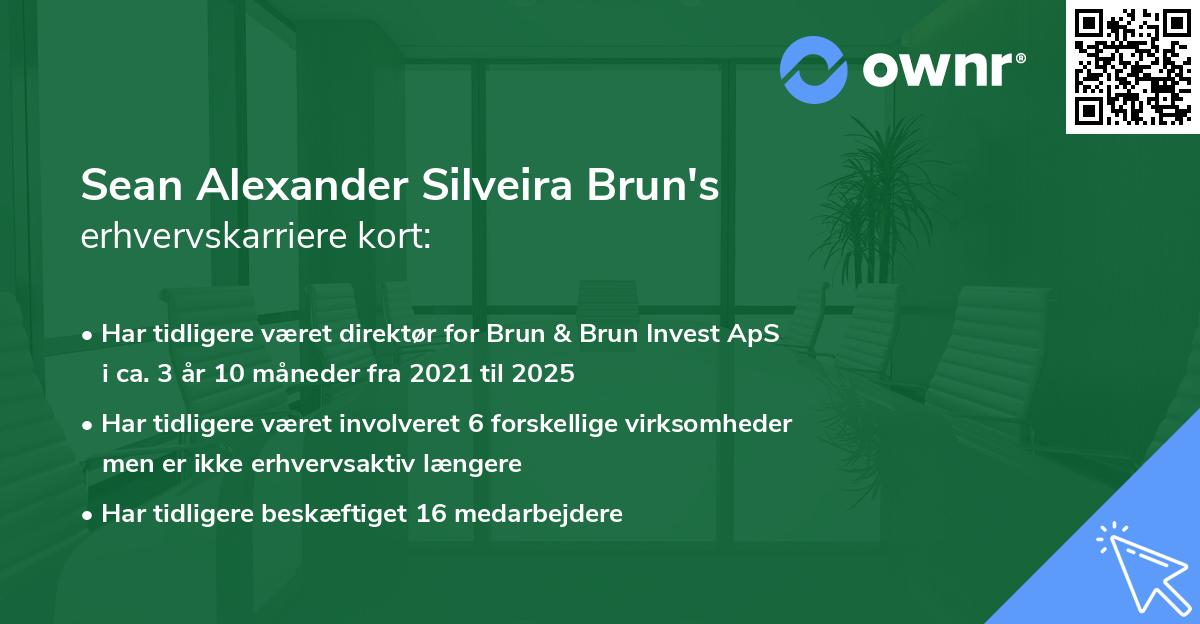 Sean Alexander Silveira Brun's erhvervskarriere kort