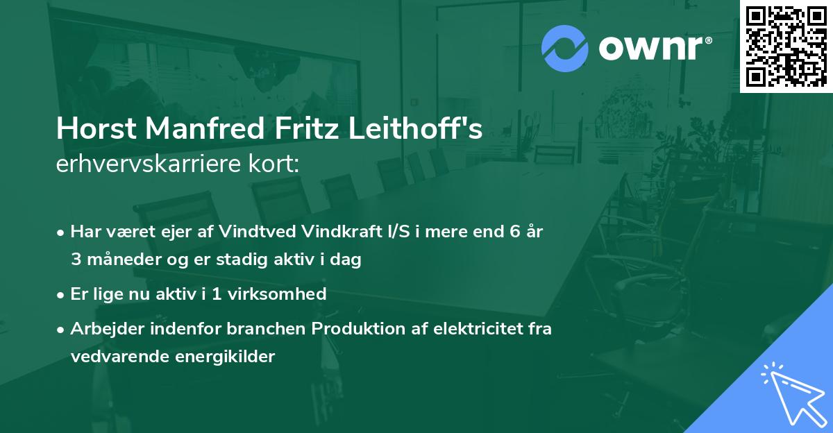 Horst Manfred Fritz Leithoff's erhvervskarriere kort