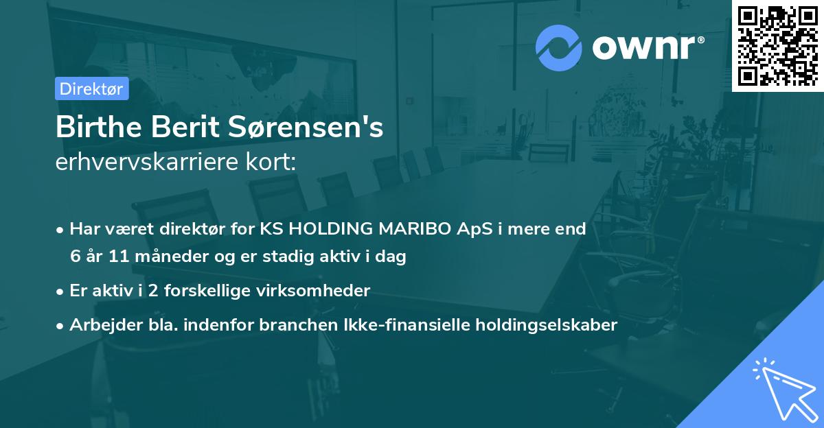 Birthe Berit Sørensen's erhvervskarriere kort
