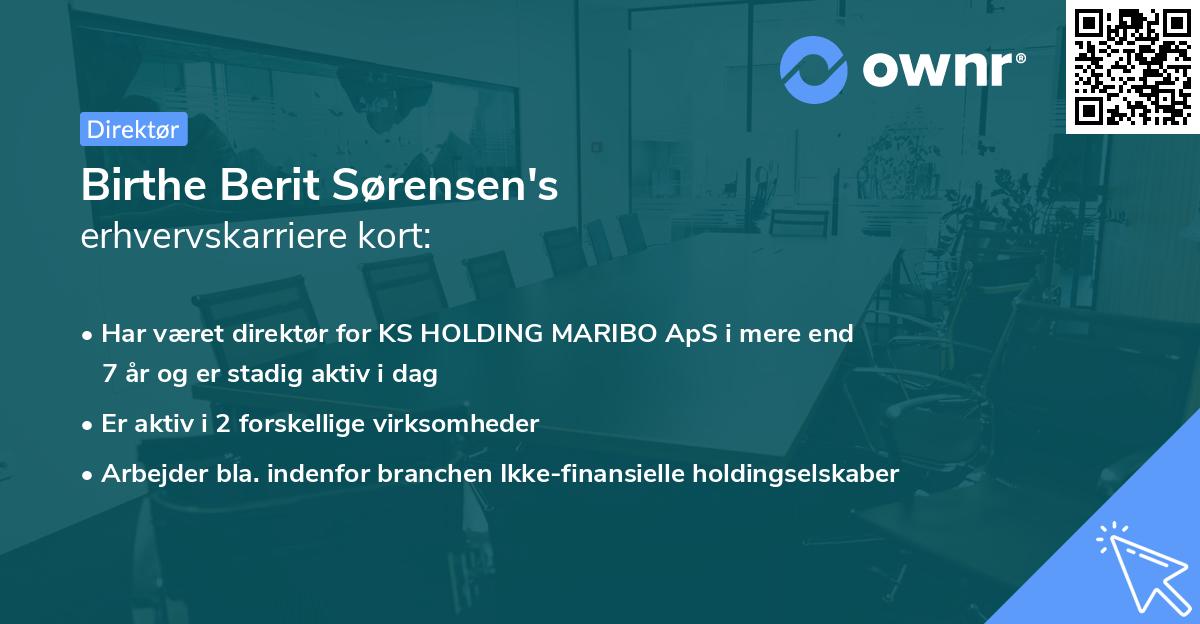 Birthe Berit Sørensen's erhvervskarriere kort