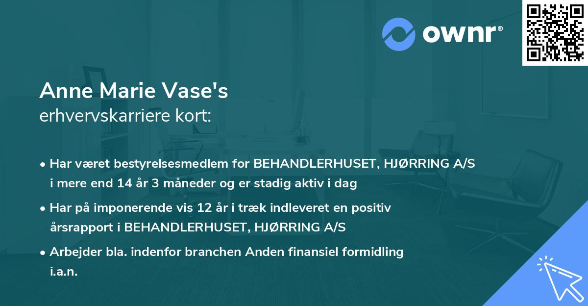 Anne Marie Vase's erhvervskarriere kort