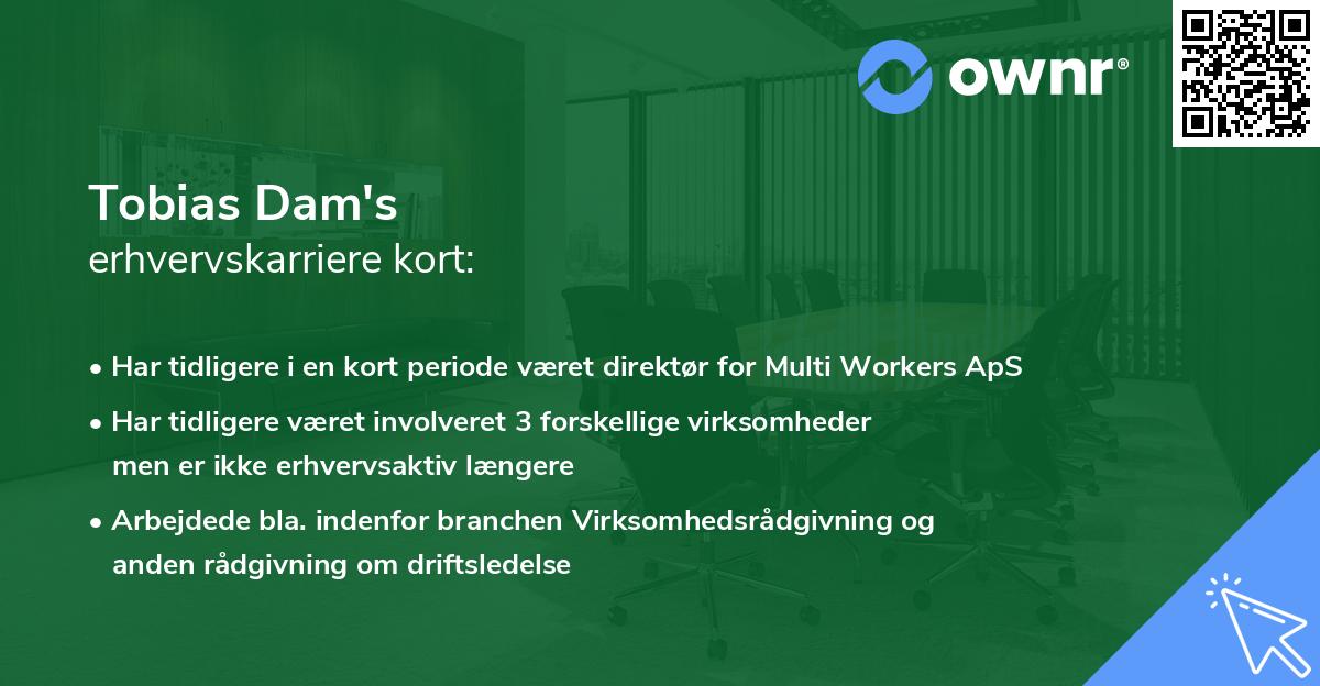 Tobias Dam's erhvervskarriere kort