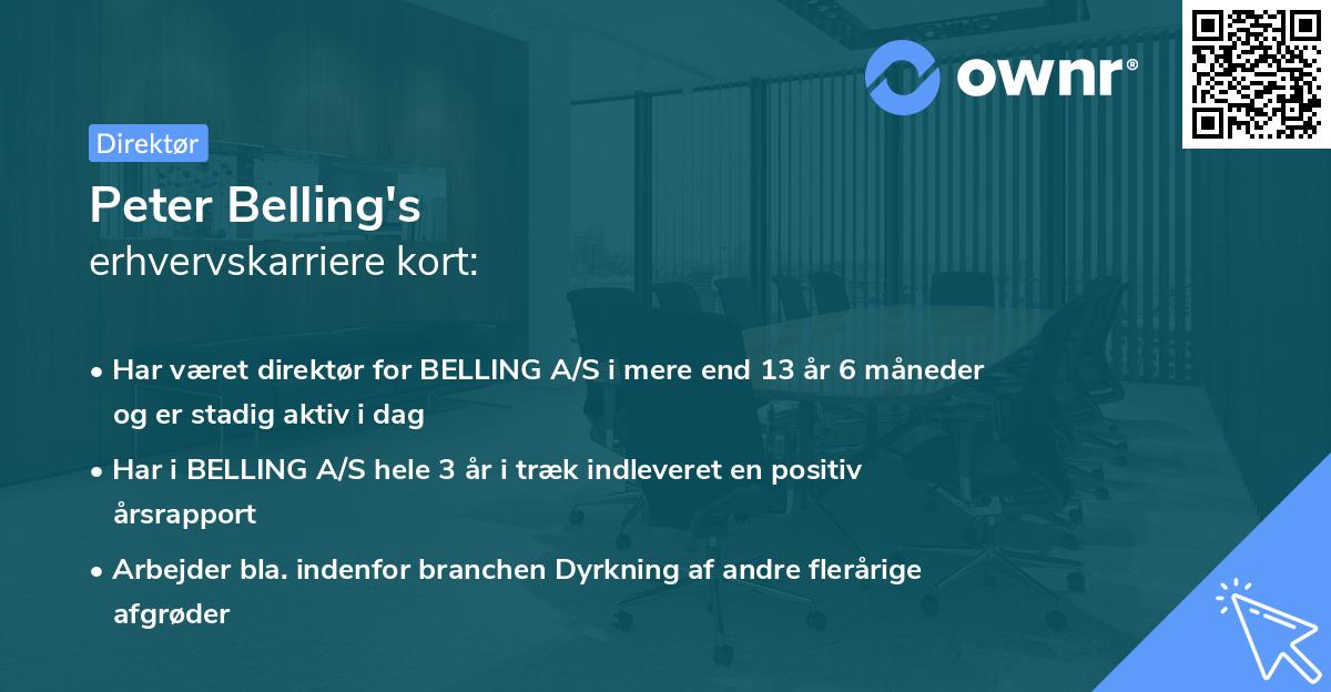 Peter Belling's erhvervskarriere kort