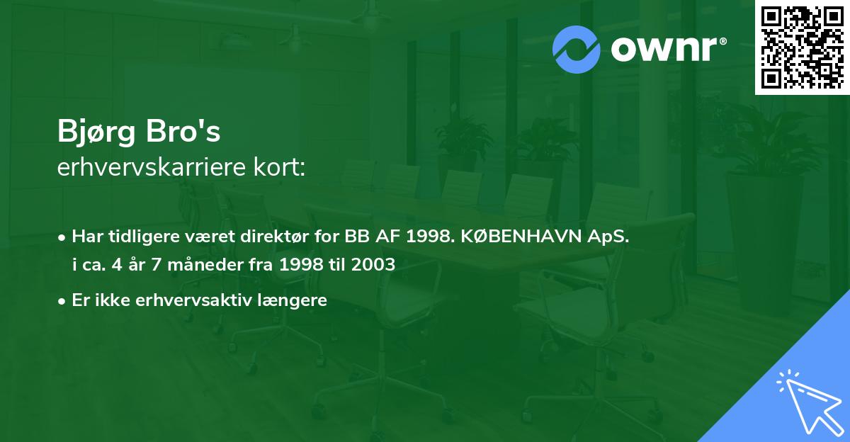 Bjørg Bro's erhvervskarriere kort