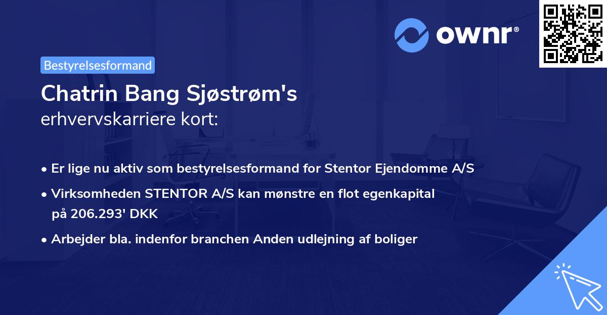 Chatrin Bang Sjøstrøm's erhvervskarriere kort