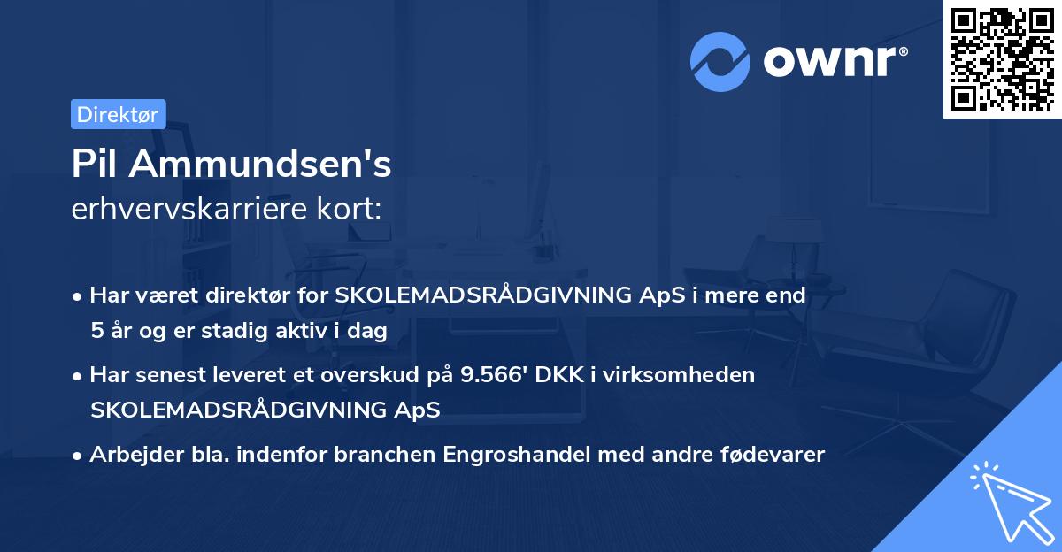Pil Ammundsen's erhvervskarriere kort