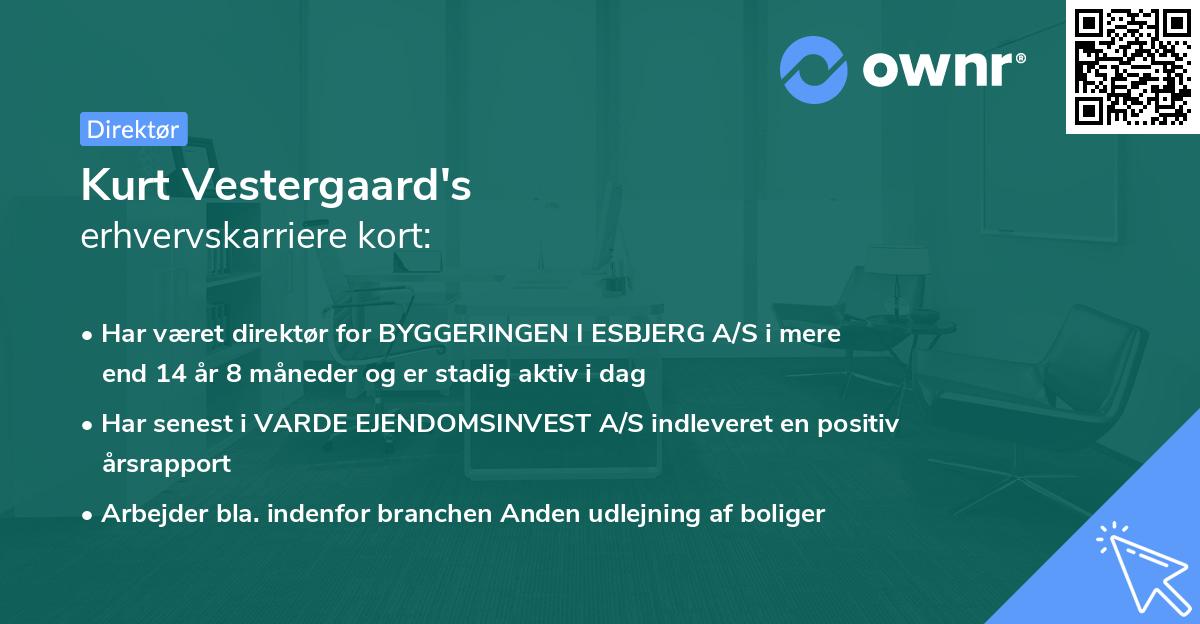 Kurt Vestergaard's erhvervskarriere kort