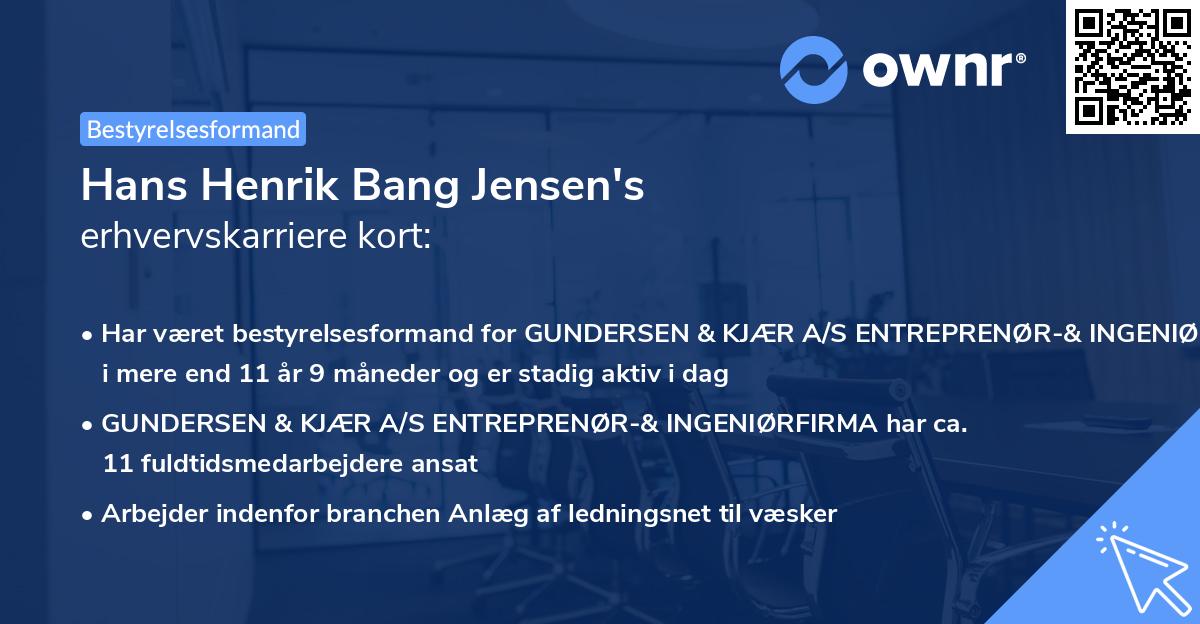 Hans Henrik Bang Jensen's erhvervskarriere kort