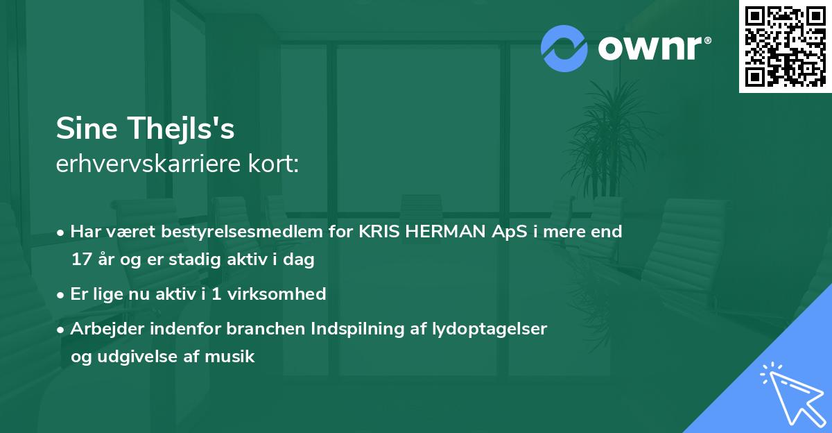 Sine Thejls's erhvervskarriere kort