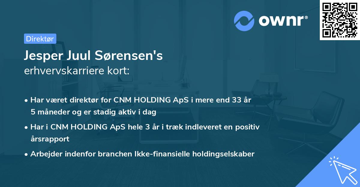 Jesper Juul Sørensen's erhvervskarriere kort