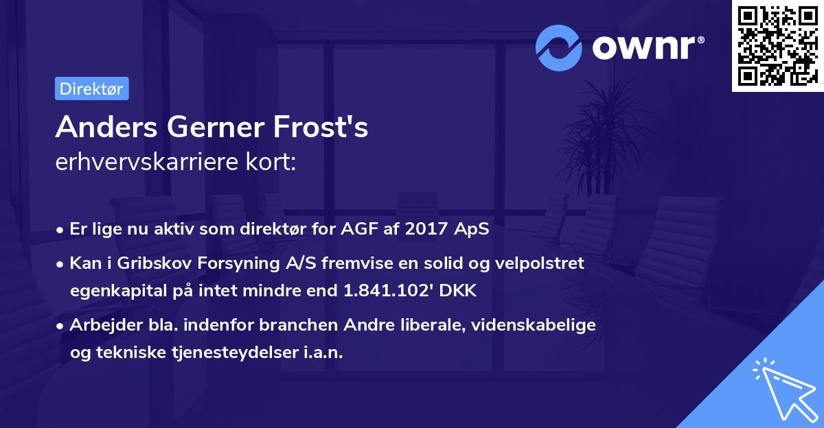 Anders Gerner Frost's erhvervskarriere kort