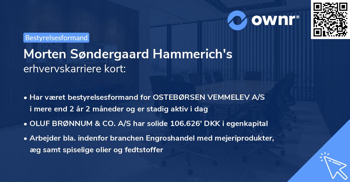 Morten Søndergaard Hammerich's erhvervskarriere kort