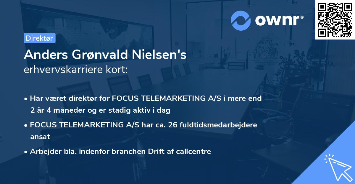Anders Grønvald Nielsen's erhvervskarriere kort