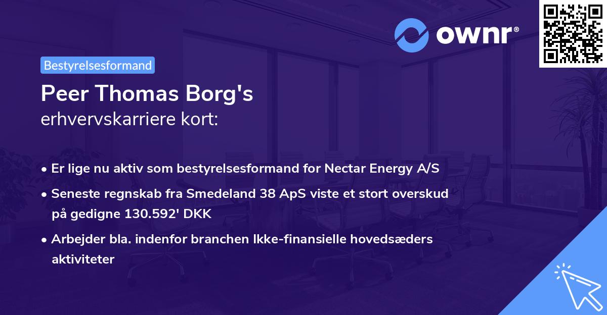 Peer Thomas Borg's erhvervskarriere kort