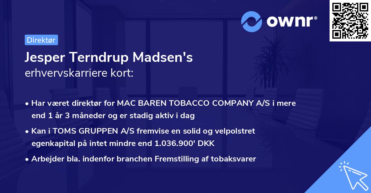 Jesper Terndrup Madsen's erhvervskarriere kort