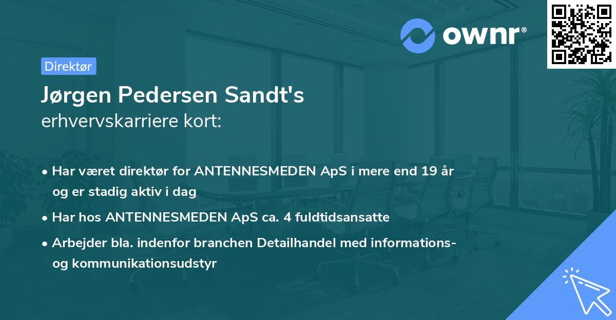 Jørgen Pedersen Sandt's erhvervskarriere kort