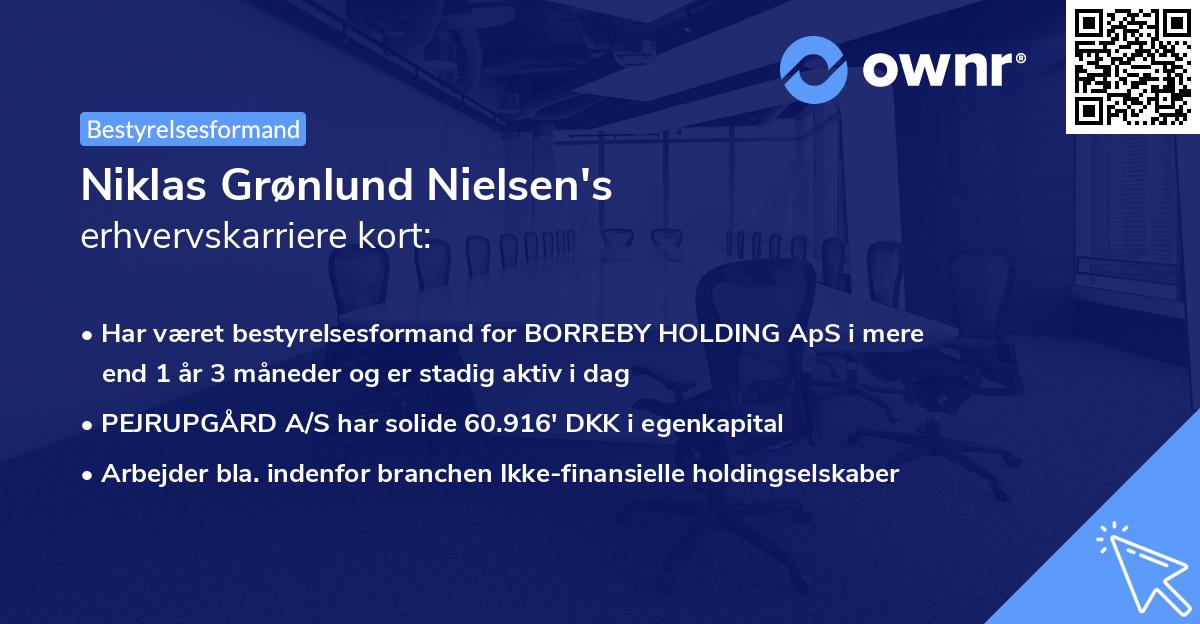 Niklas Grønlund Nielsen's erhvervskarriere kort