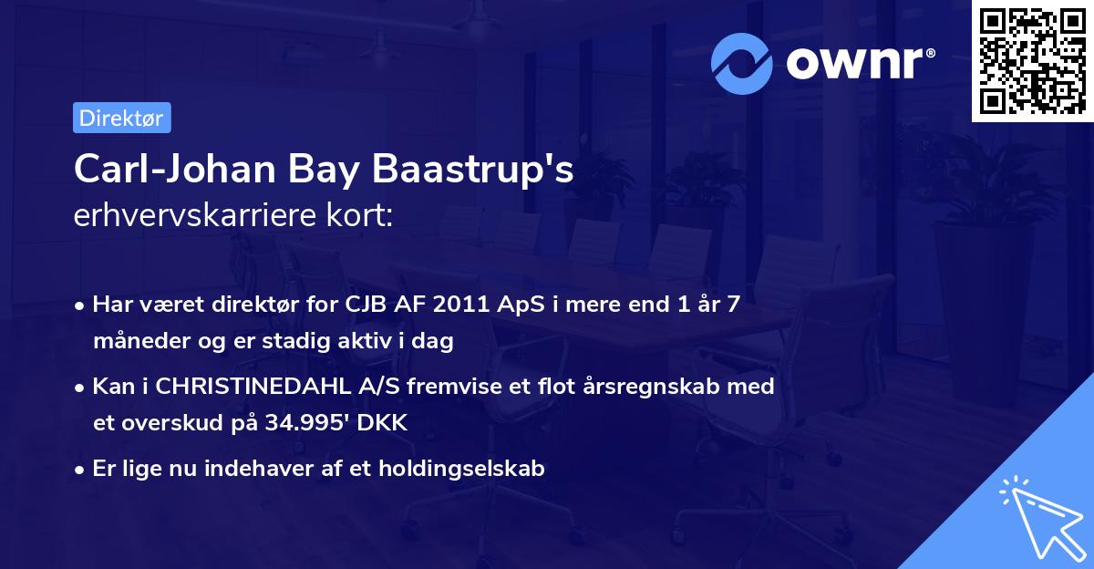 Carl-Johan Bay Baastrup's erhvervskarriere kort