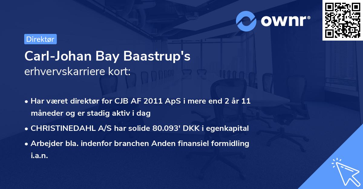 Carl-Johan Bay Baastrup's erhvervskarriere kort