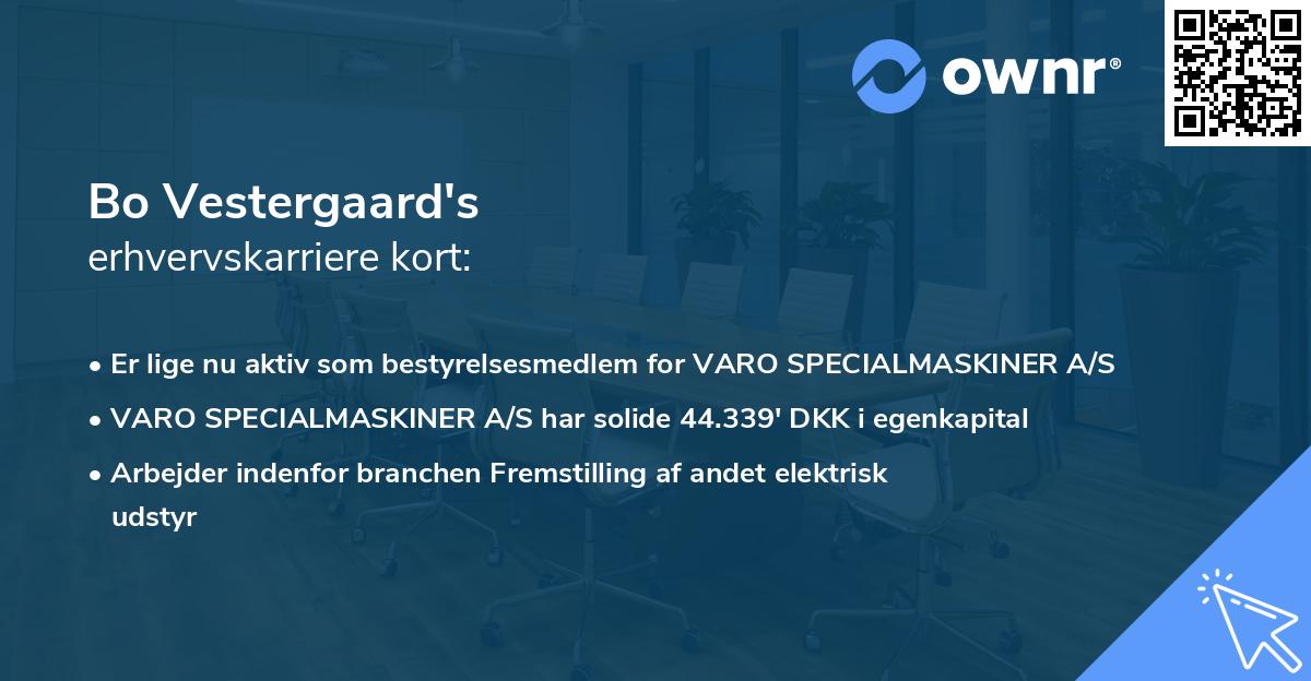 Bo Vestergaard's erhvervskarriere kort