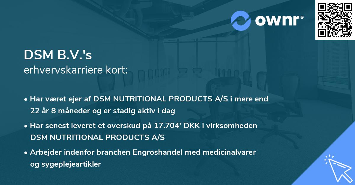 DSM B.V.'s erhvervskarriere kort