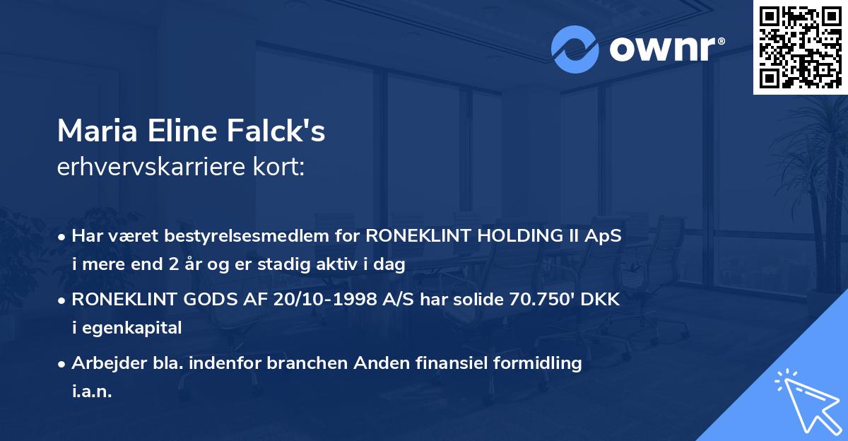 Maria Eline Falck's erhvervskarriere kort