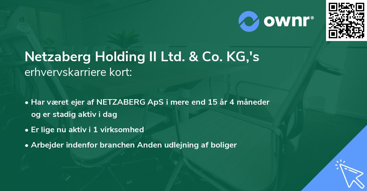 Netzaberg Holding II Ltd. & Co. KG,'s erhvervskarriere kort