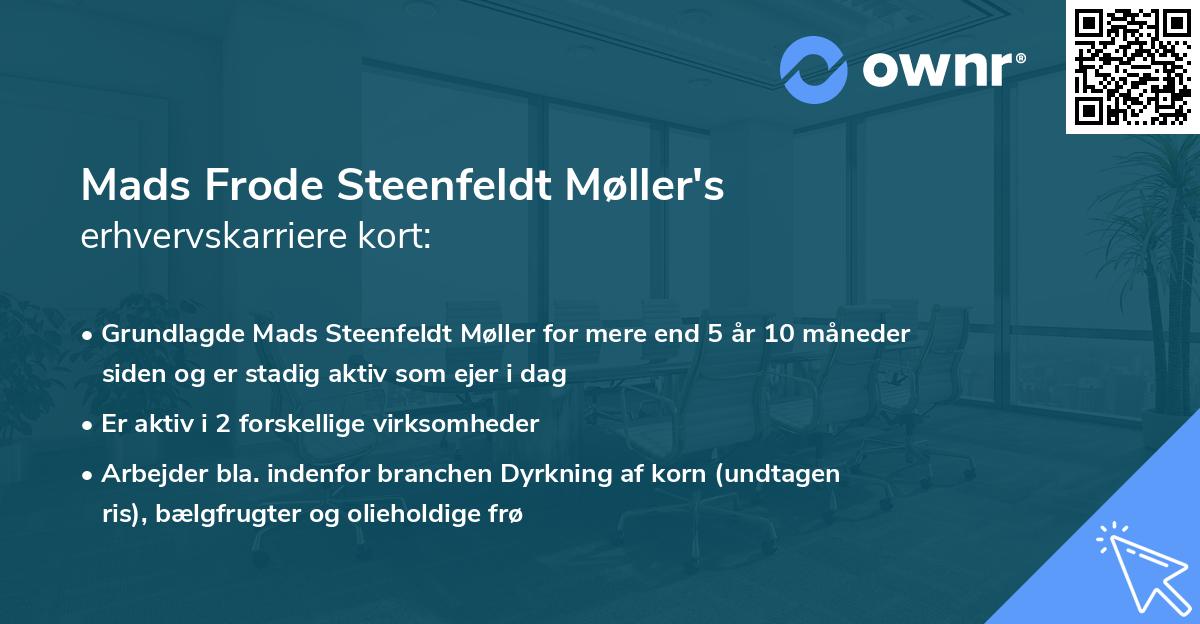 Mads Frode Steenfeldt Møller's erhvervskarriere kort